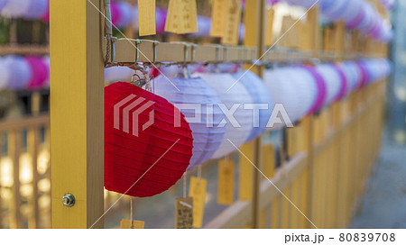 現人神社 福岡県 提灯 恋ぼんぼり 現人神社 福岡県 提灯 恋ぼんぼり 80839708
