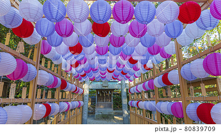 現人神社　福岡県　　提灯　恋ぼんぼり 80839709