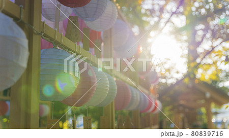 現人神社　福岡県　　提灯　恋ぼんぼり 80839716