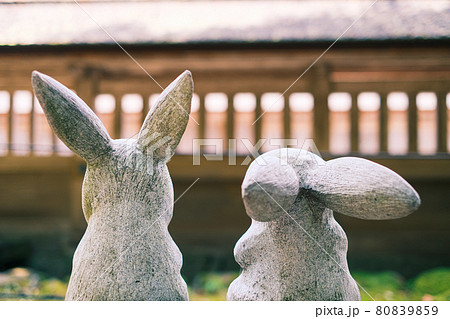 出雲大社本殿を見つめる因幡の白兎 80839859