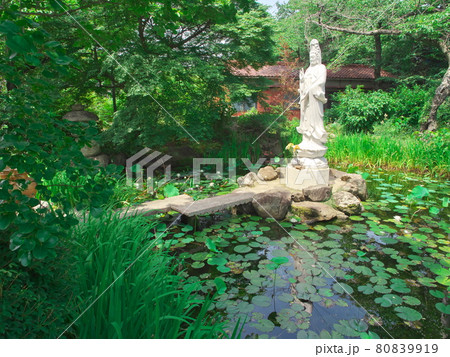 名古屋市天白区相生山　徳林寺の観音様像 80839919