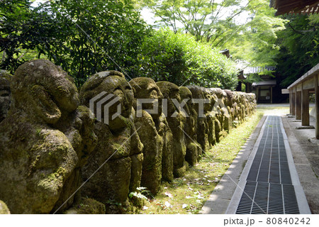 愛宕念仏寺 本堂北側の羅漢像 京都市嵯峨野 愛宕念仏寺 本堂北側の羅漢像 京都市嵯峨野 80840242