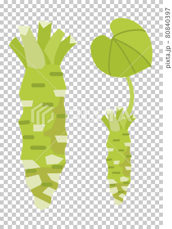 わさび（アウトラインなし） 80840397