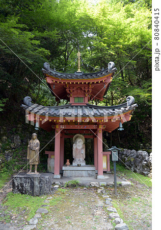 愛宕念仏寺　多宝塔　京都市嵯峨野 80840415