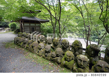 愛宕念仏寺　ふれ愛観音堂と羅漢像　京都市嵯峨野 80840599