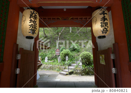 愛宕念仏寺　仁王門から境内を望む　京都市嵯峨野 80840821