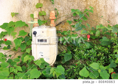 Gas meter separate for private house, attach among beauty ivy, Meter Reading in Cubic meter. japanese character show specification of the meter. 80840863