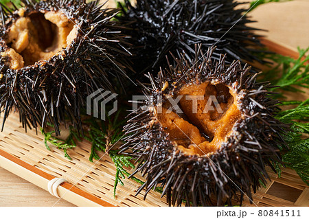 ザルに盛られたムラサキウニ 80841511