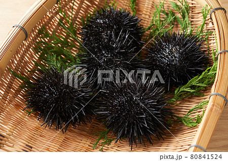 ザルに盛られたムラサキウニ ザルに盛られたムラサキウニ 80841524