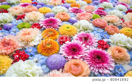 水に浮かぶパステルカラーの花 カーネーション ラナンキュラス マム の写真素材