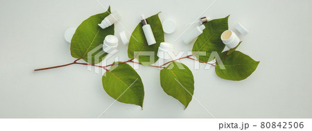 Different natural cosmetic products on the background of a beautiful branch of a plant with leaves 80842506