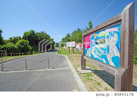 福岡県芦屋町の海辺にある夏井ヶ浜はまゆう公園 福岡県芦屋町の海辺にある夏井ヶ浜はまゆう公園 80843178