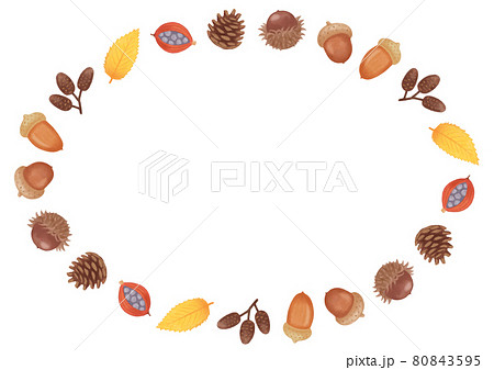 素朴でかわいい 秋のどんぐりと松ぼっくり色々な木の実のフレームのイラスト素材