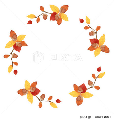 ナチュラルかわいい 秋の赤い紅葉と木の実のフレームのイラスト素材