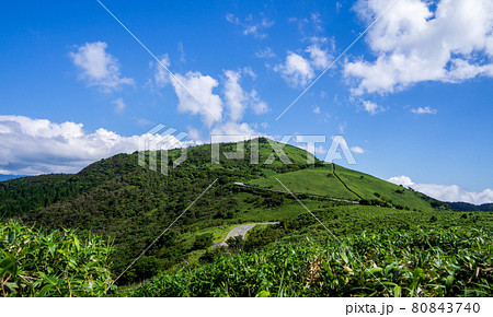 静岡県伊豆半島】夏の高原風景【伊豆山稜線歩道・だるま山周辺 