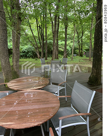 森の中のモダンなテーブルセット　雨上がりの午後に 80843969