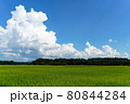 青空に浮かぶ夏の雲と緑の田んぼ 80844284