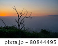 Driftwood on the background of a foggy dawn 80844495