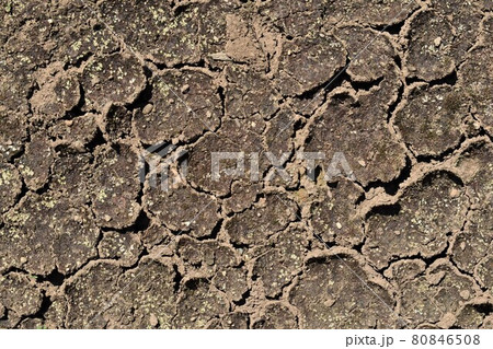 ひび割れた地面 80846508
