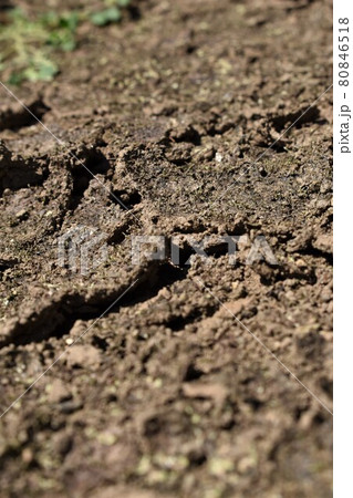 ひび割れた地面 80846518