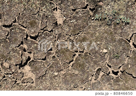 ひび割れた地面 80846650