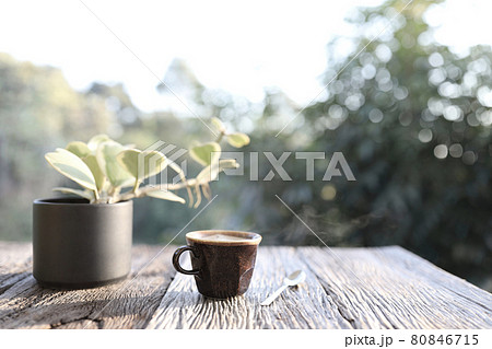 Coffee in clay cup and Hoya plant pot on wooden table 80846715