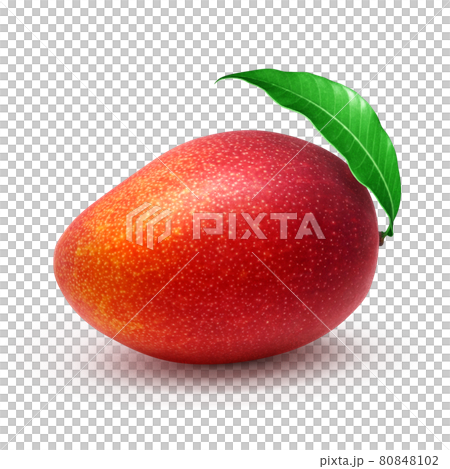 Mango Illustration Real Miyazaki 80848102