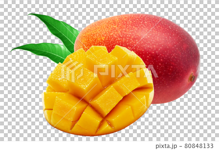 Mango illustration real set 80848133