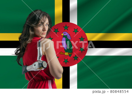 Beauty industry in Dominica Happy female hairdresser holding hairdryer against Dominica flag background Beauty industry in Dominica Happy female hairdresser holding hairdryer against Dominica flag background 80848554