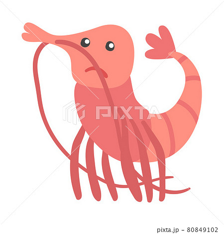 Shrimp Character as Aquatic Mammal with Sad Face Vector Illustration Shrimp Character as Aquatic Mammal with Sad Face Vector Illustration 80849102