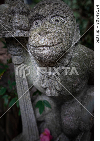 大豊神社の春、境内末社・日吉社の狛猿と椿 80849124