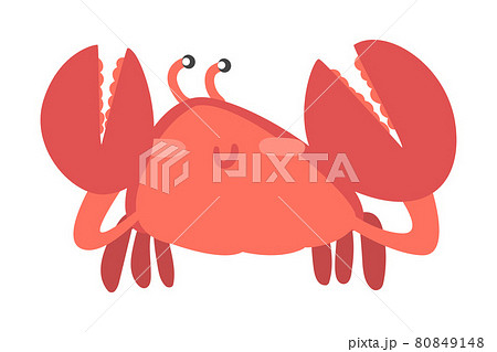 Red Crab Character as Aquatic Mammal with Pair of Pincers Smiling Vector Illustration Red Crab Character as Aquatic Mammal with Pair of Pincers Smiling Vector Illustration 80849148