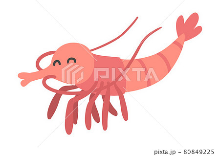 Shrimp Character as Aquatic Mammal with Funny Face Vector Illustration 80849225