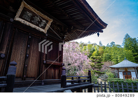 常寂光寺の春、多宝塔で休憩しベニシダレザクラと開山堂を見る 常寂光寺の春、多宝塔で休憩しベニシダレザクラと開山堂を見る 80849289