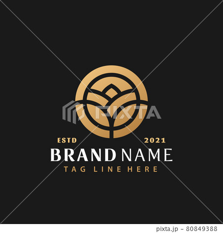 Gold Nature Flower Logo Design, Abstract Logos Designs Concept for Template Gold Nature Flower Logo Design, Abstract Logos Designs Concept for Template 80849388