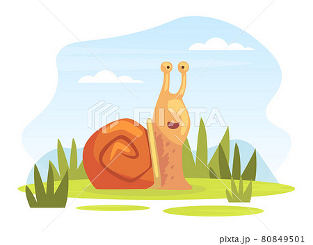 Cartoon Snail As Smiling Gastropod With Coiled のイラスト素材