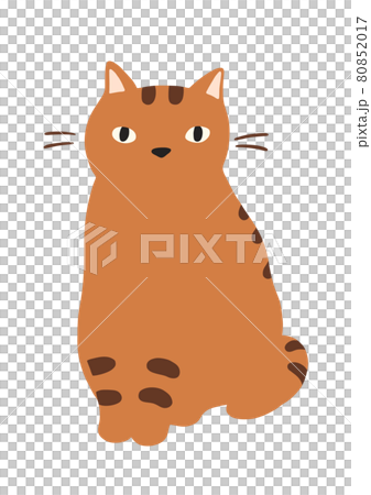 すわる猫のイラスト-トラ猫 80852017