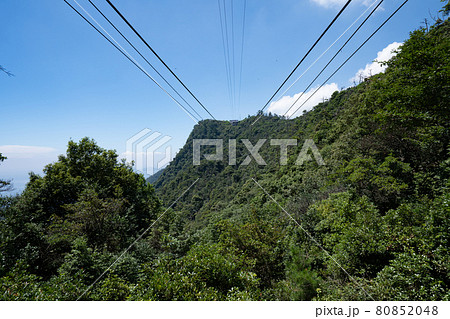宮島ロープウェイ榧谷駅から獅子岩駅を望む＜広島県宮島/8月＞ 80852048