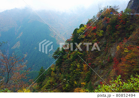 剣山の山並みの鮮やかな紅葉 剣山の山並みの鮮やかな紅葉 80852494