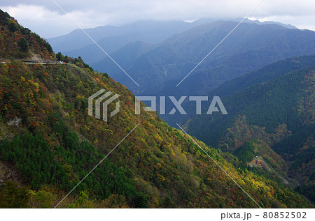 剣山の山肌の紅葉に薄明光線 剣山の山肌の紅葉に薄明光線 80852502