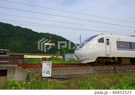 めがね広告塔 福井県鯖江市(めがねのまちさばえ) めがね広告塔 福井県鯖江市(めがねのまちさばえ) 80852525