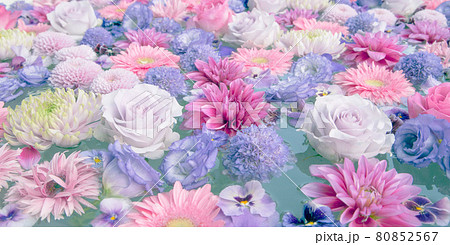 水に浮かぶ青 白 ピンクの花 ダリア バラ トルコキキョウ マム ビオラ ガーベラ スカビオサの写真素材