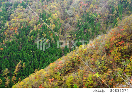 剣山の山並みの紅葉群 剣山の山並みの紅葉群 80852574