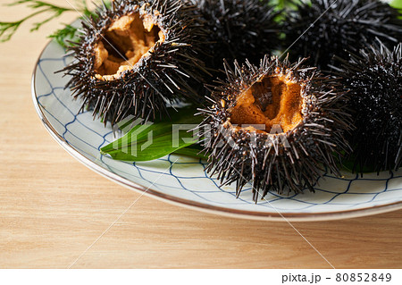 皿に盛られたムラサキウニ 皿に盛られたムラサキウニ 80852849