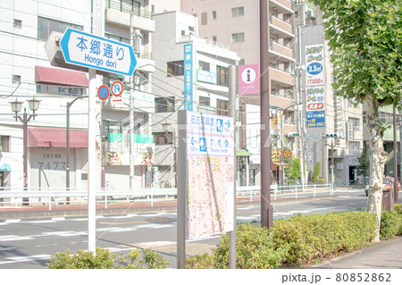 本郷通り/東京都豊島区駒込 本郷通り/東京都豊島区駒込 80852862