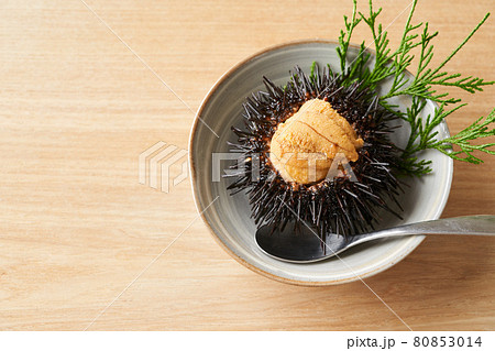 皿に盛られたムラサキウニ 80853014