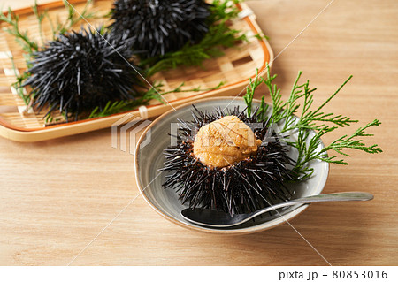 皿に盛られたムラサキウニ 80853016