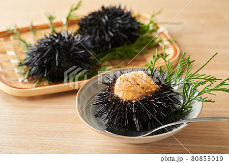 皿に盛られたムラサキウニ 80853019