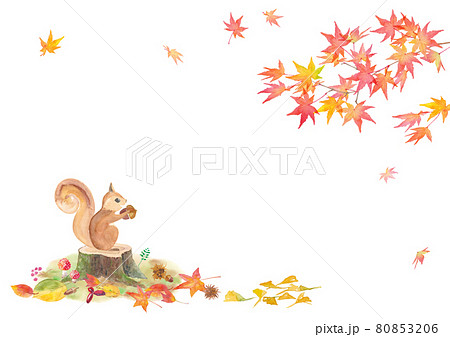 秋の森のフレームデザイン どんぐりを持ったリスと紅葉の水彩イラスト 水彩のトレースベクター のイラスト素材