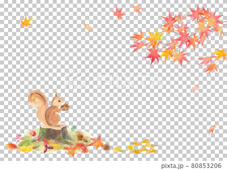 Autumn forest frame design. Watercolor illustration of a squirrel with an acorn and autumn leaves. Watercolor trace vector. 80853206